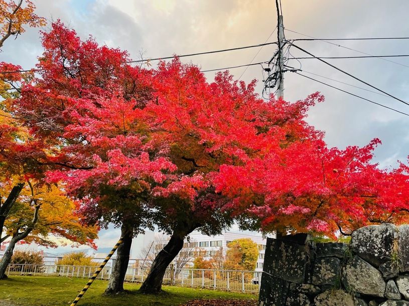 画像1