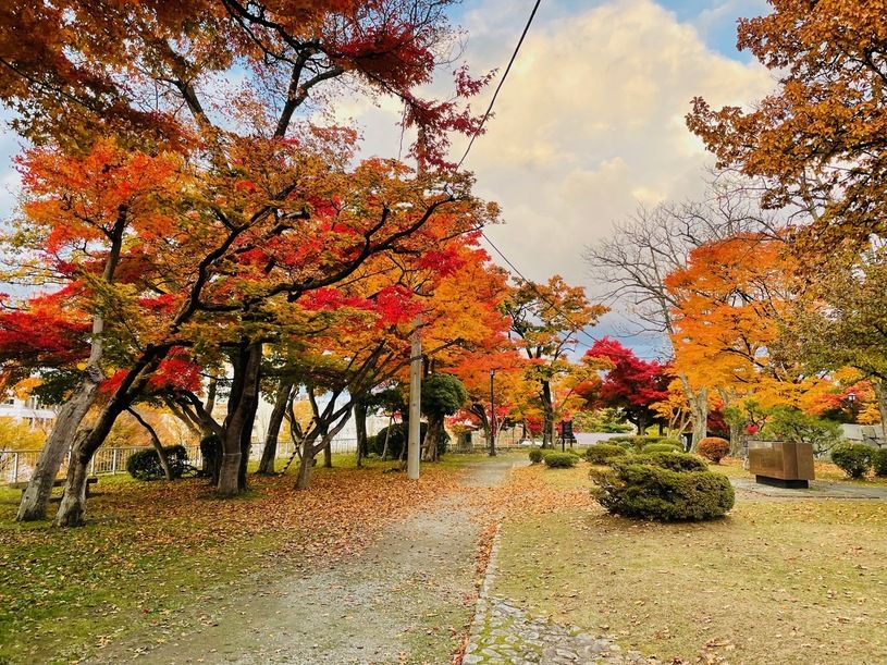 画像2