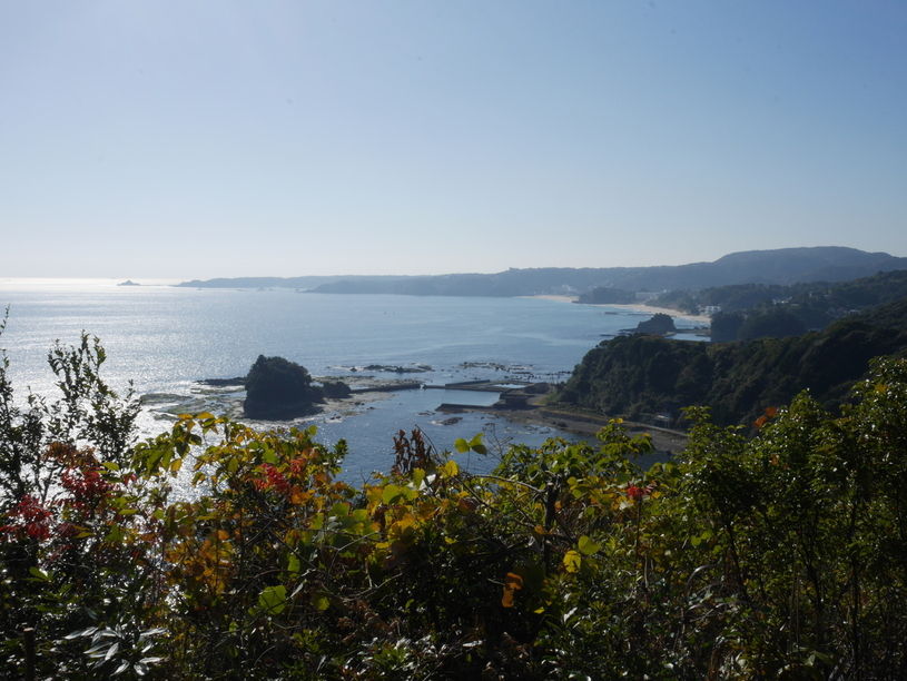 画像5