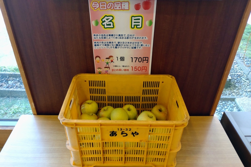 画像1