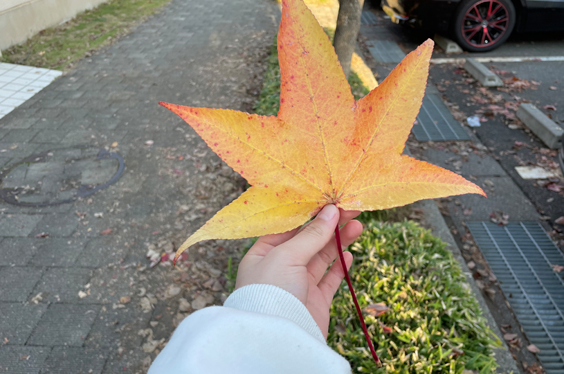 画像1