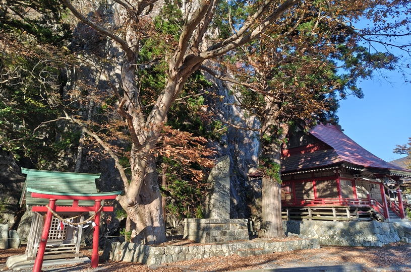 画像4