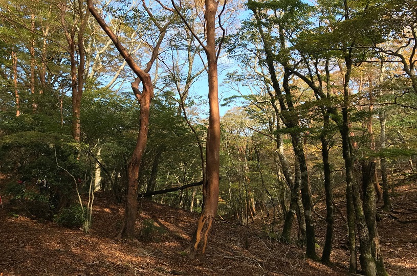 画像4