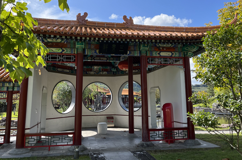 画像5