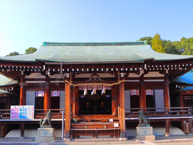 画像4