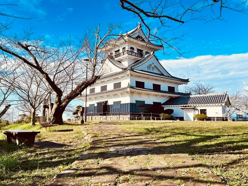 画像1