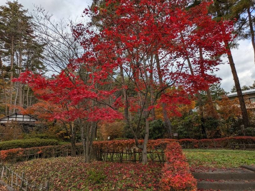 画像5