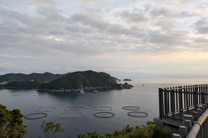 画像5