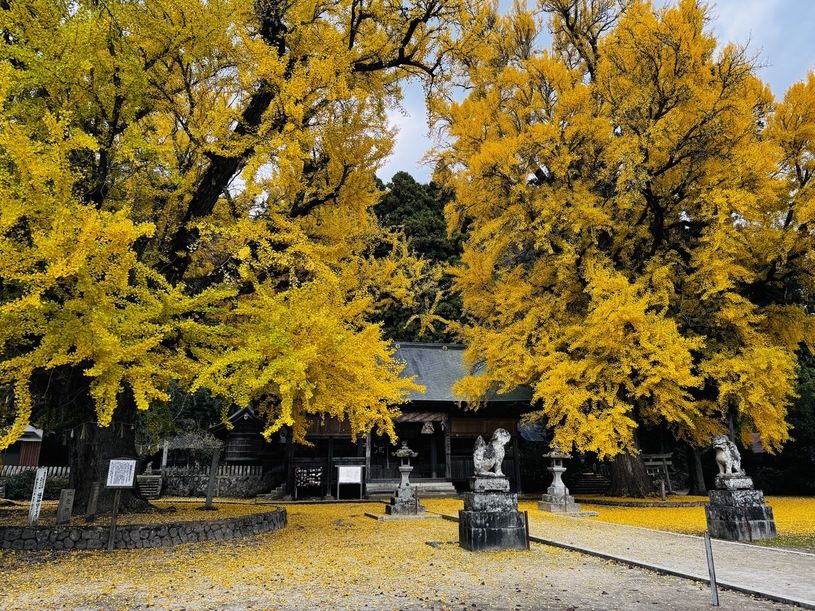 画像1