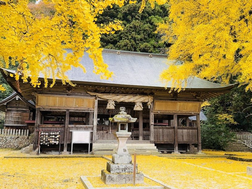 画像2