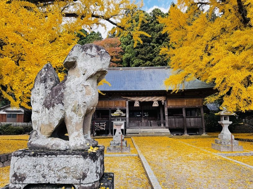 画像3