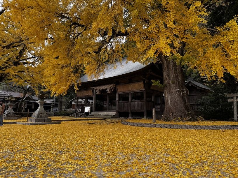 画像4