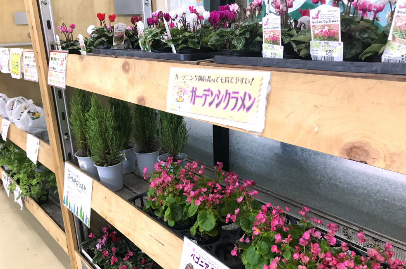 画像3