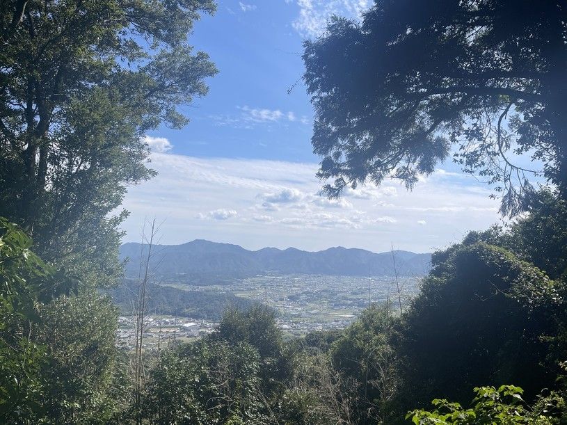 画像3