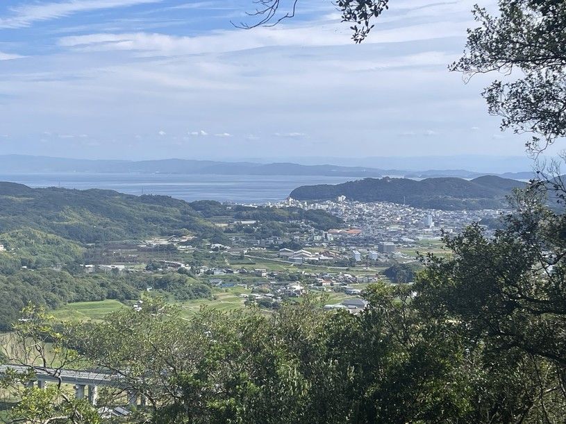 画像4