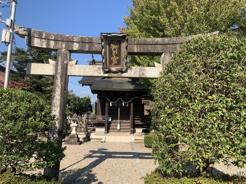 画像4