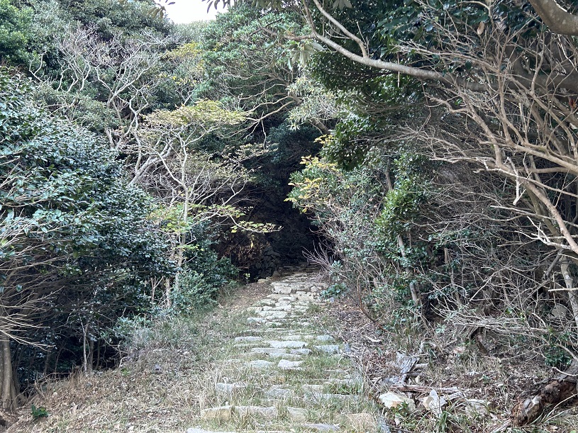 画像3