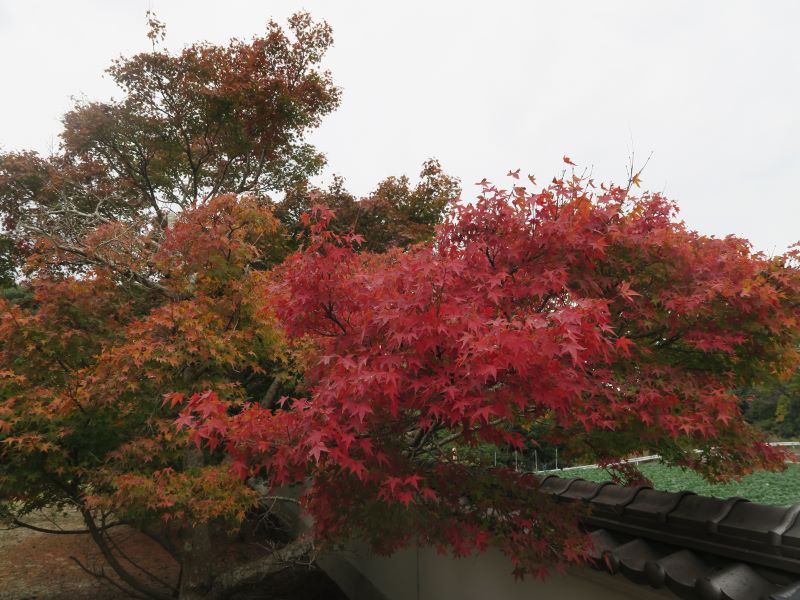 画像2