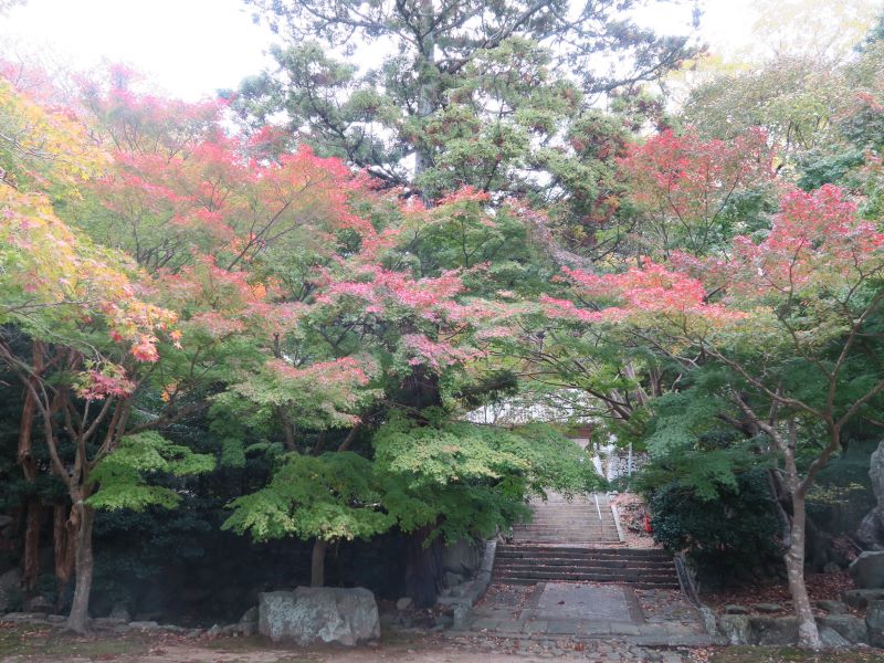 画像4
