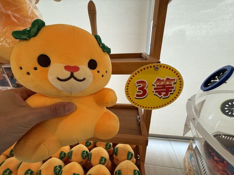 画像3