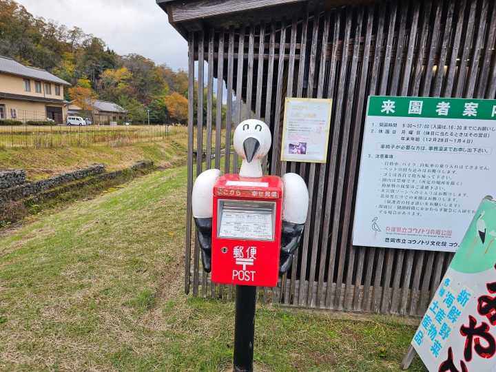 画像2