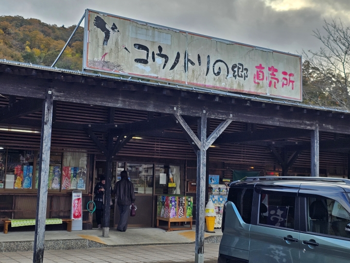 画像5