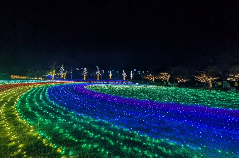 画像4