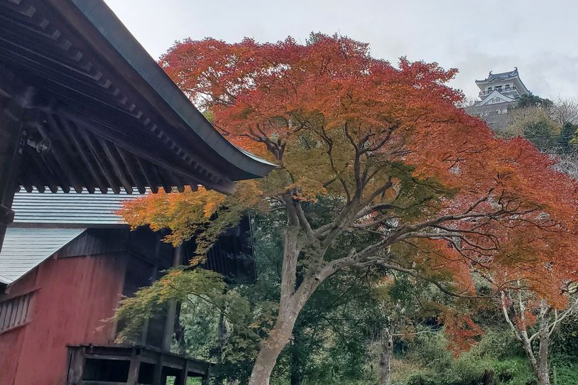 画像1