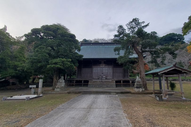 画像4