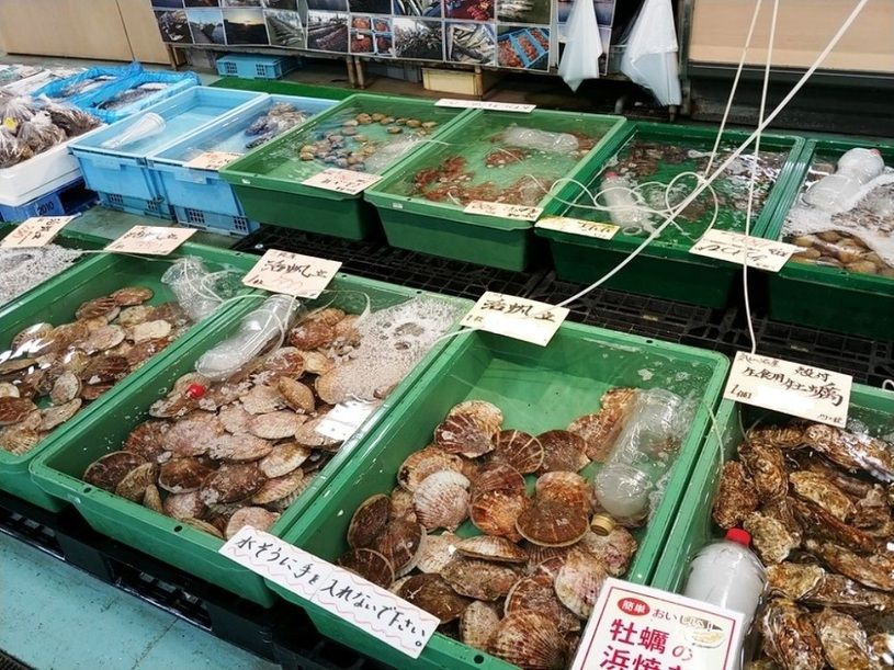 画像1