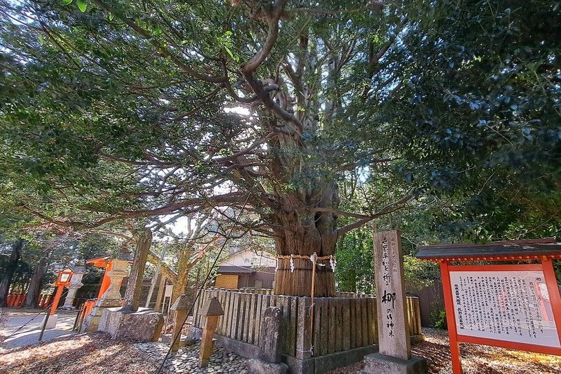 画像1