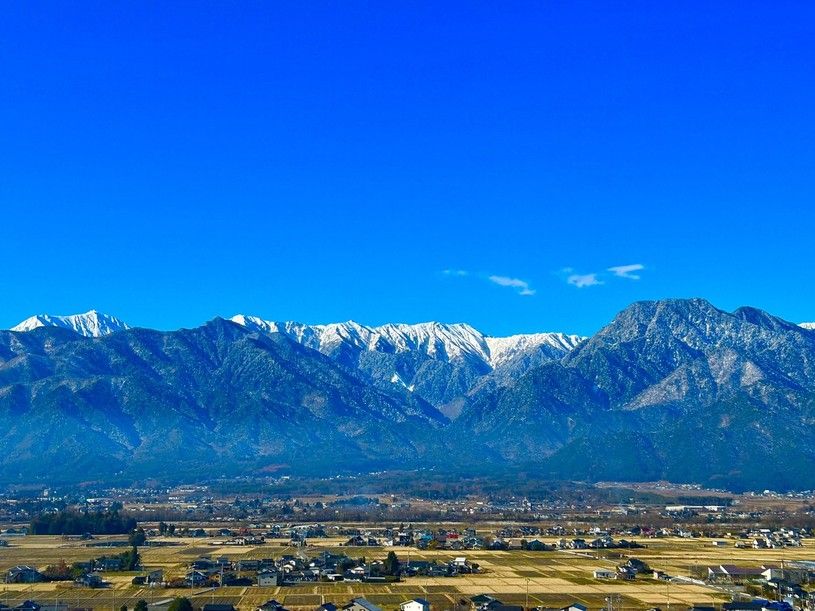 画像1