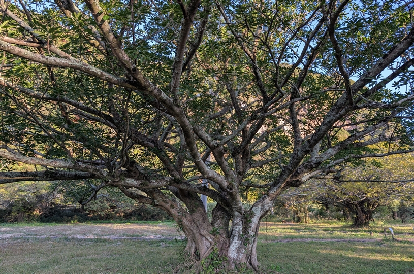 画像3