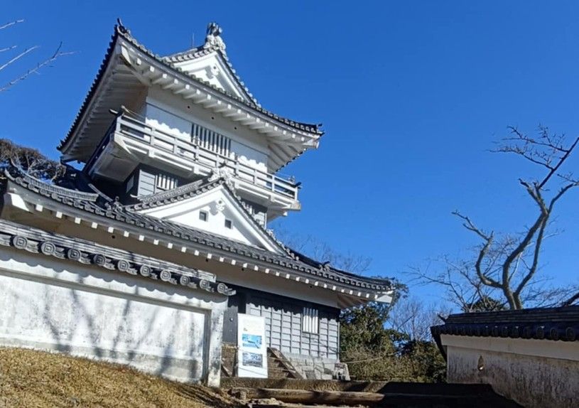 画像1