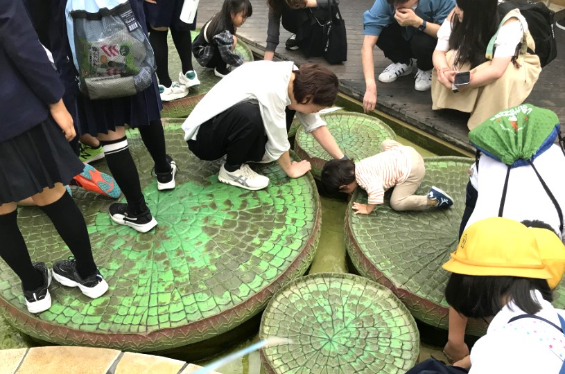 画像5