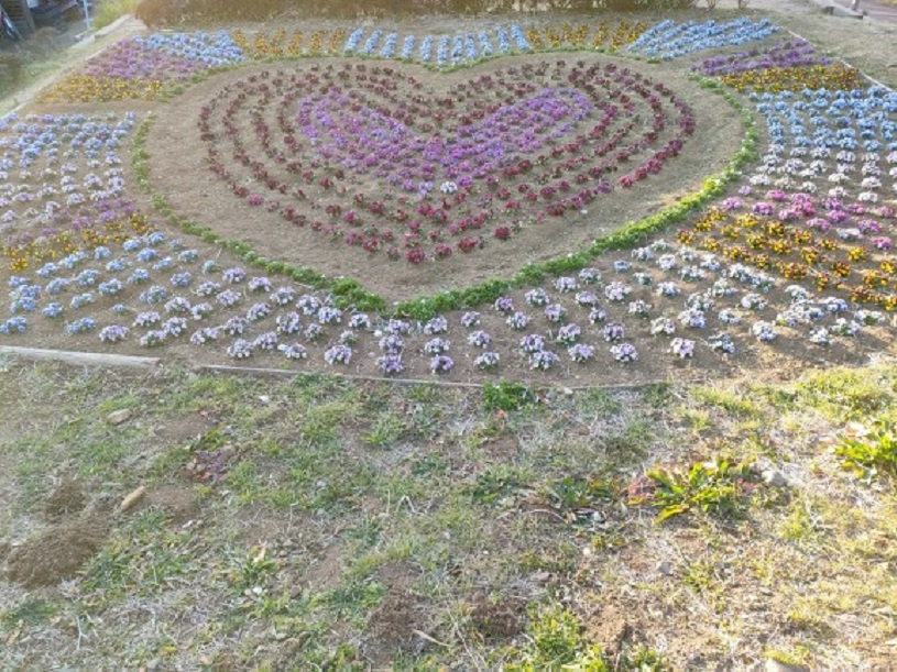 画像2