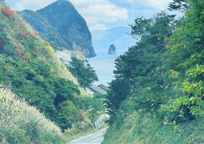画像1
