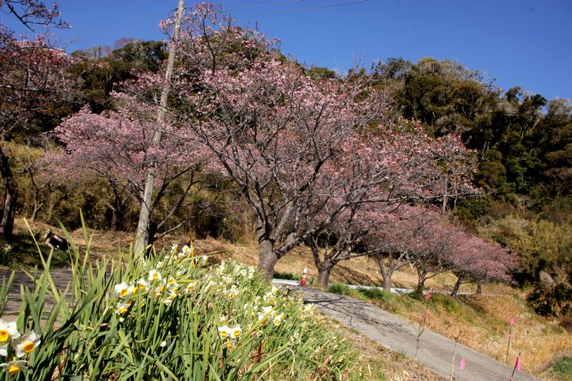 画像5