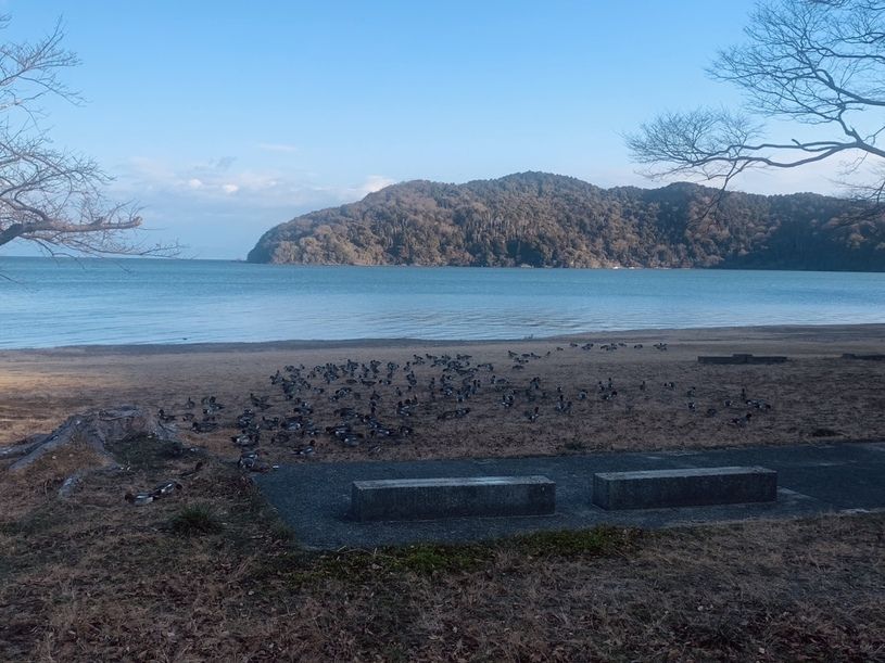 画像1