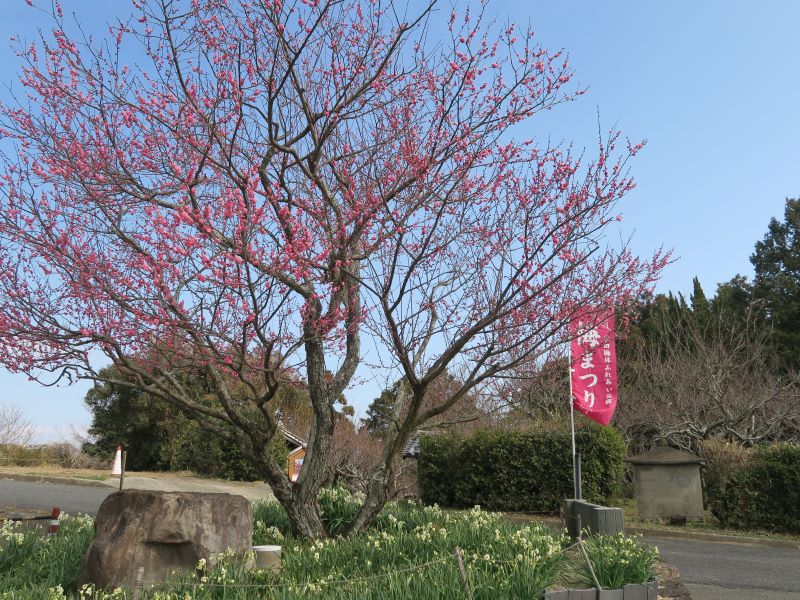 画像2