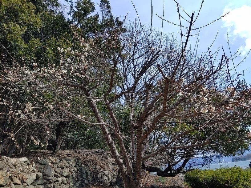 画像3