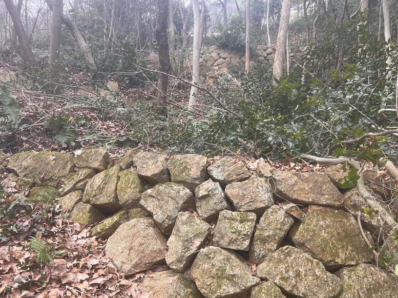 画像2