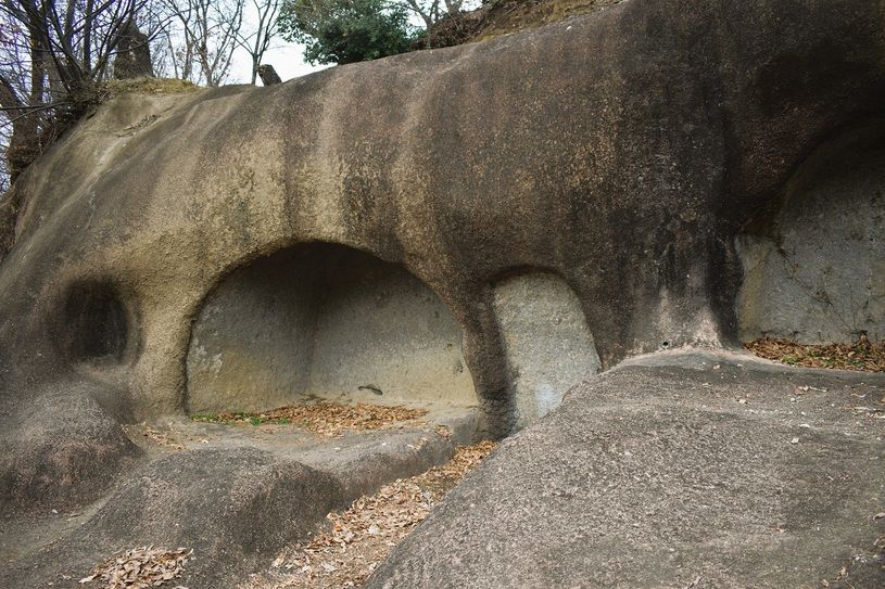 画像1