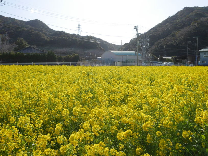 画像4