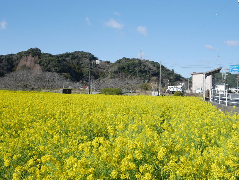 画像5