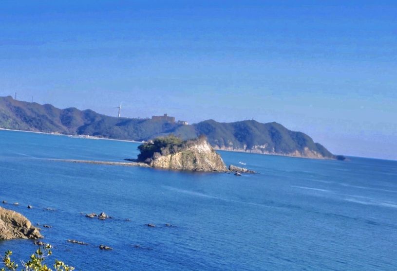 画像2