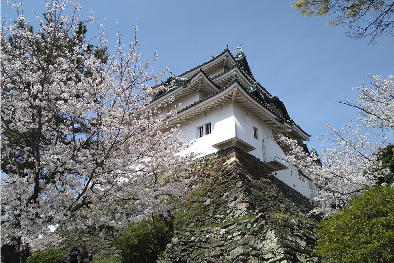 画像1