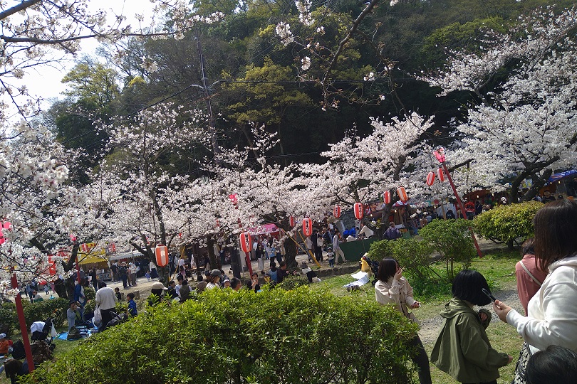 画像4