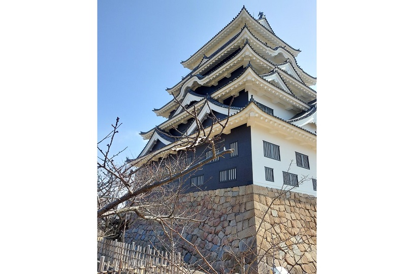 画像2