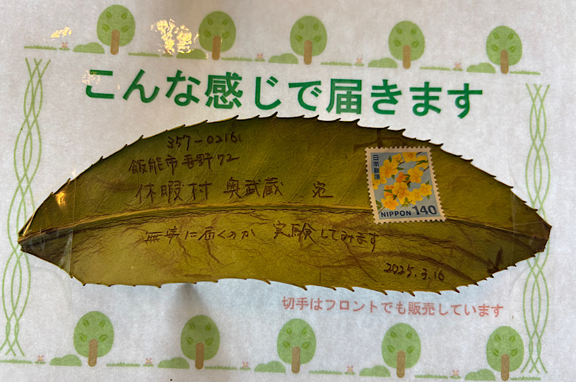 画像3